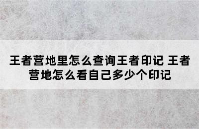 王者营地里怎么查询王者印记 王者营地怎么看自己多少个印记